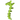 Plant Vine Seaweed / Appendage Spiked / Bionicle Spine