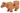 Cow Body with Light Nougat Muzzle and White Spot on Head Pattern