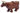 Cow with Light Nougat Muzzle and White Spot on Head Pattern with Short Horns