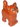Cat, Baby Kitten, Standing with Black Nose and Eyes with White Pupils, Tan Muzzle Pattern
