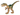 Dinosaur Coelophysis / Gallimimus with Dark Green Stripes and Yellow Eyes Pattern