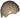 Minifigure, Hair Combed Front to Rear