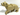 Cat, Large (Mountain Lion) with White Muzzle, Medium Azure Eyes and Nougat Nose Pattern