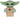 Grogu / The Child / Baby Yoda